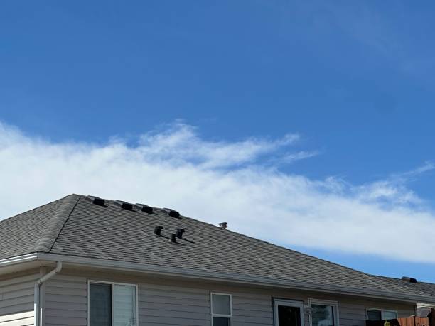 Best Skylight Installation and Repair  in Shelley, ID